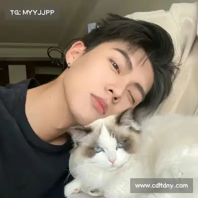 沈辉